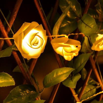 Obrazek z Świecące róże