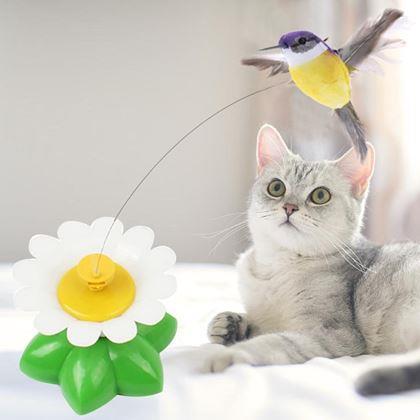 Obrazek z Zabawka dla kotów - latający koliber