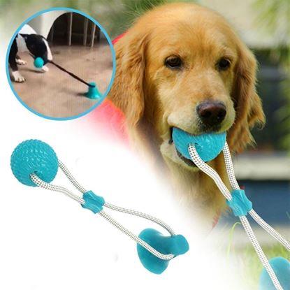 Obraz Zabawka dla psa do czyszczenia zębów