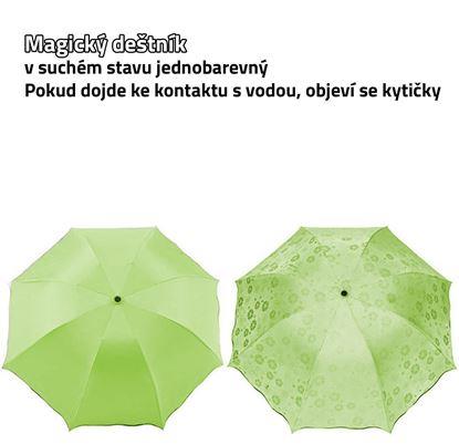 Obraz Magiczny parasol