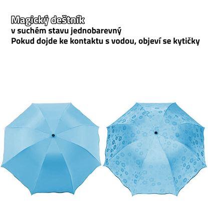 Obraz Magiczny parasol