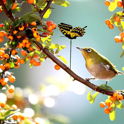 Obrazek z Ozdoba do doniczki 24 szt. – motyl