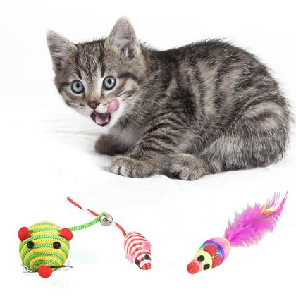 Obrazek z Zestaw zabawek dla kota