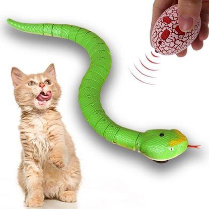 Obraz Zabawka dla kotów - wąż