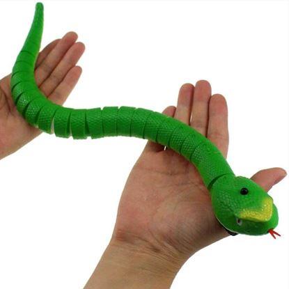 Obraz Zabawka dla kotów - wąż