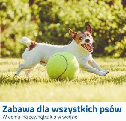 Obrazek z Piłka tenisowa maxi