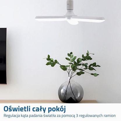 Obraz Regulowana lampa sufitowa