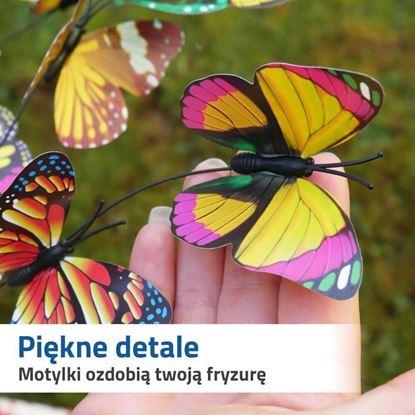 Obraz Opaska do włosów z motylkami