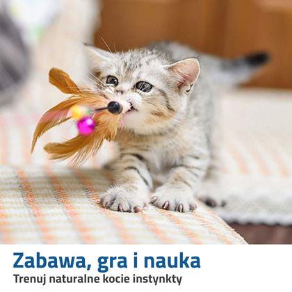 Obrazek z Zestaw zabawek dla kota