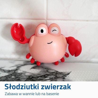 Obraz Zabawka do kąpieli - krab