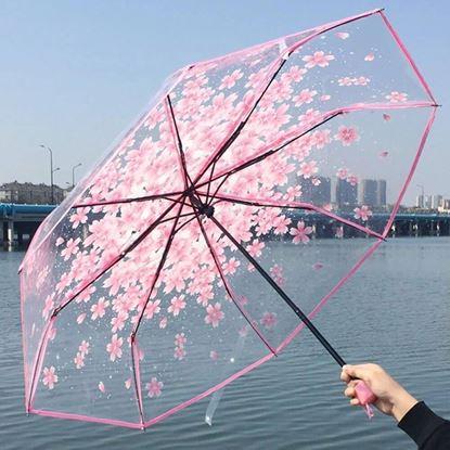 Obraz Przezroczysty parasol - kwiaty 