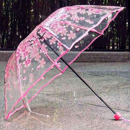 Obrazek z Przezroczysty parasol - kwiaty 