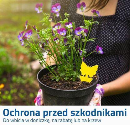 Obraz Ochrona roślin przed owadami 12 szt