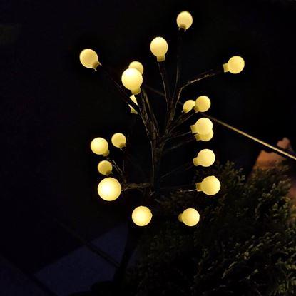 Obraz Lampa solarna drzewo - kuleczki
