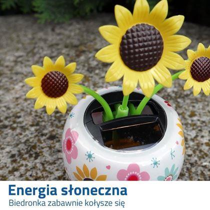 Obrazek z Solarny kwiatek - słonecznik