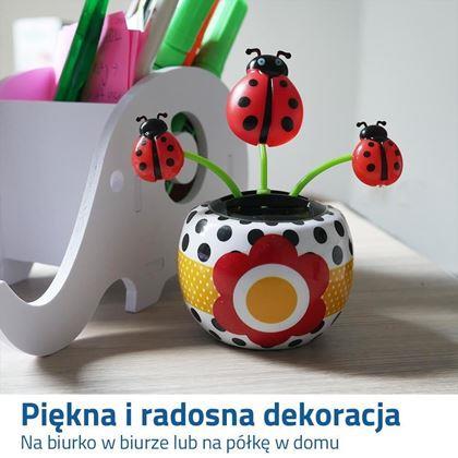 Obrazek z Solarny kwiatek - biedronka