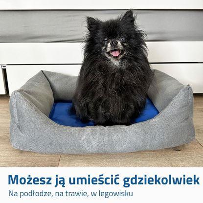 Obraz Mata chłodząca dla psów