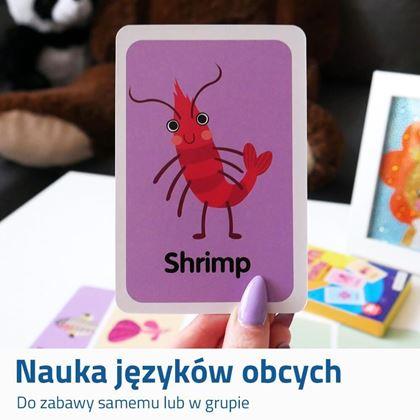 Obrazek z Karty dydaktyczne - morskie zwierzątka