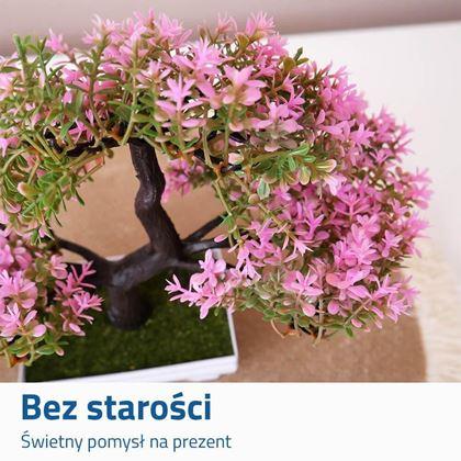 Obrazek z Sztuczna bonsai - różowa