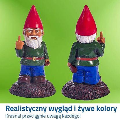 Obraz Zabawny krasnal ogrodowy