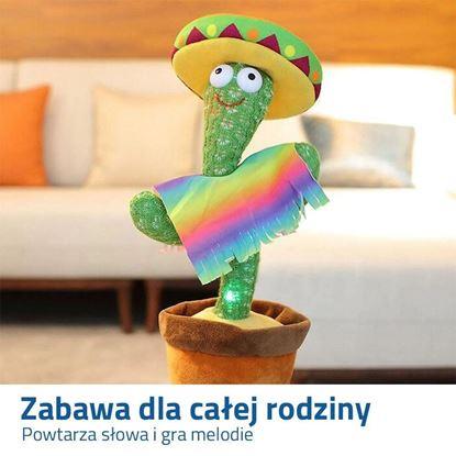 Obraz Mówiący i śpiewający kaktus