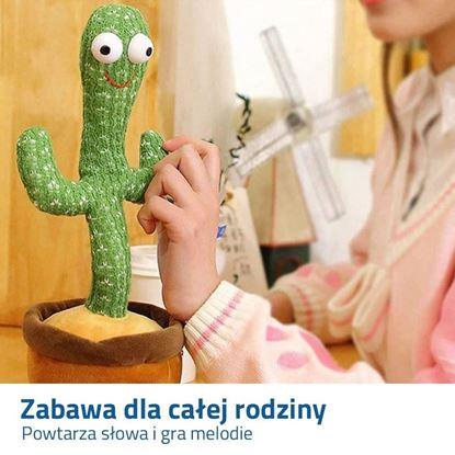 Obraz Mówiący i śpiewający kaktus