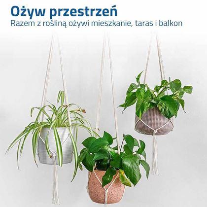 Obrazek z Makrama zawieszka na doniczkę - kremowa