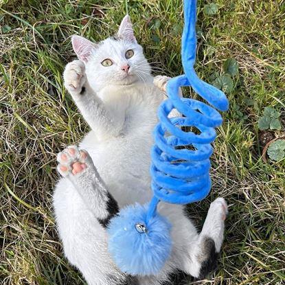 Obraz Zabawka dla kota ze sprężyną i piłką