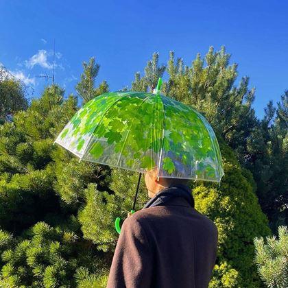 Obrazek z Przezroczysta parasolka - zielone liście