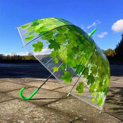 Obraz Przezroczysta parasolka - zielone liście