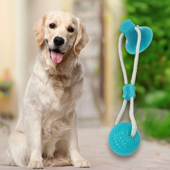 Obrazek z Zabawka dla psa do czyszczenia zębów