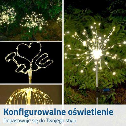Obraz solarna wtyczka ogrodowa - mniszek lekarski