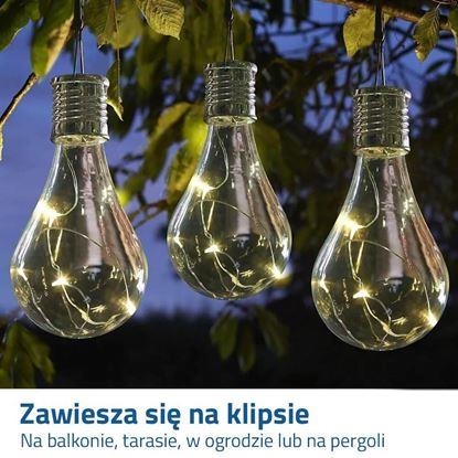 Obraz Oświetlenie solarne dekoracyjne - żarówka