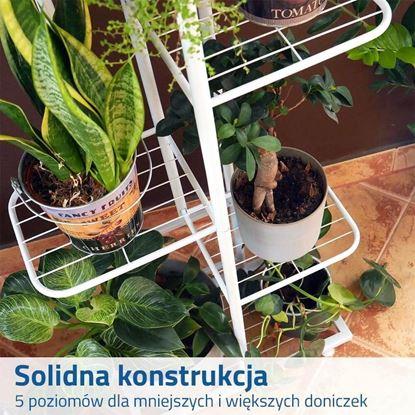 Obraz  Stojak na kwiaty