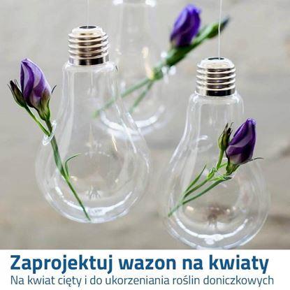 Obraz Wiszący wazon-żarówka na kwiaty