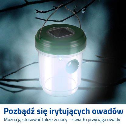 Obraz Solarna pułapka na owady