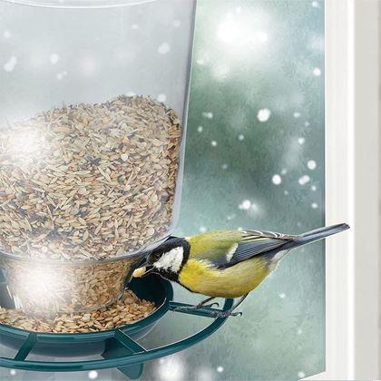 Obrazek z Okienny karmnik dla ptaków