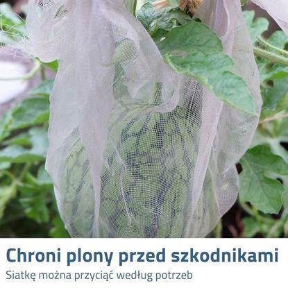 Obraz Siatka ochronna przeciw owadom