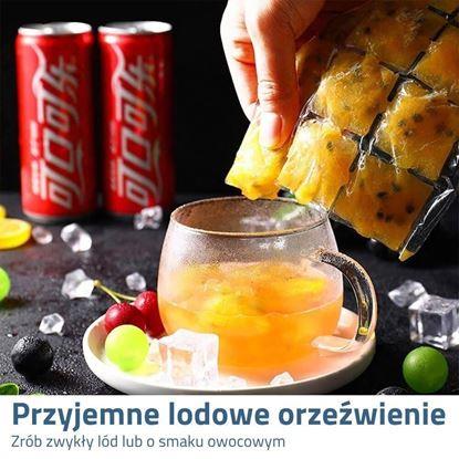 Obraz Worki do zamrażania zamykane - 10 sztuk