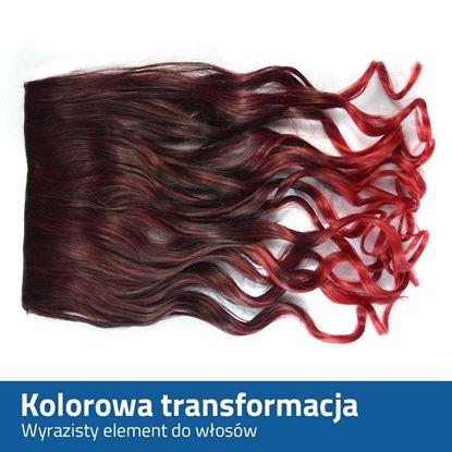 Obraz Treska do włosów typu ombre