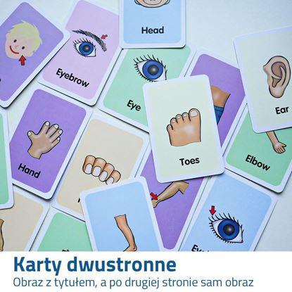 Obraz Karty dydaktyczne