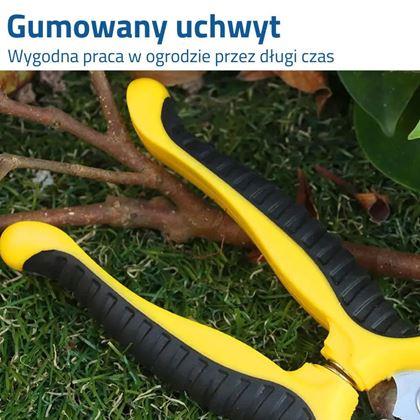 Obrazek z Nożyce ogrodowe