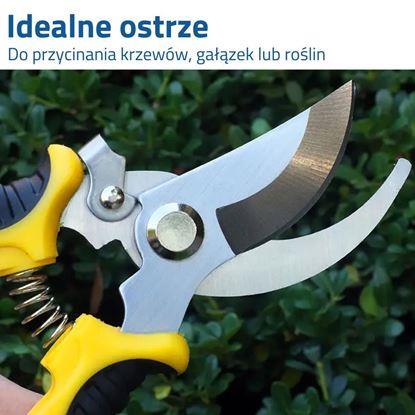 Obraz Nożyce ogrodowe