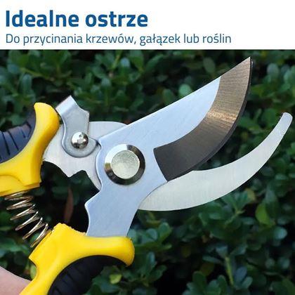Obrazek z Nożyce ogrodowe