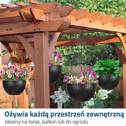 Obraz Doniczka wisząca