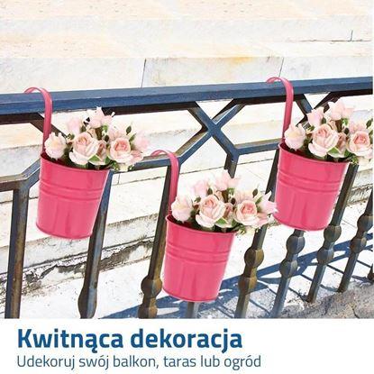 Obraz Wisząca doniczka na balkon