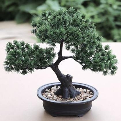 Obrazek z Sztuczna bonsai w doniczce