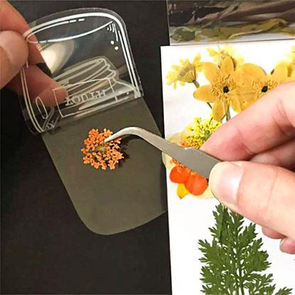 Obraz DIY herbarium - naklejki z suszonych kwiatów