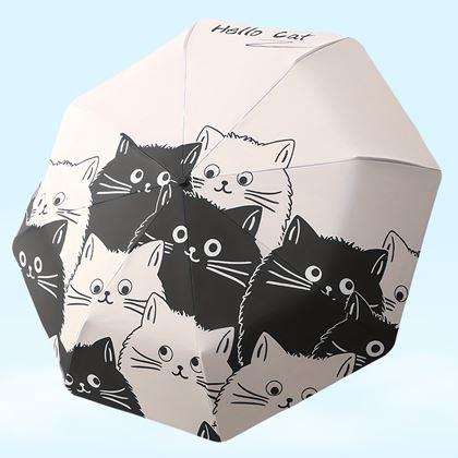 Obrazek z Parasol z kotami