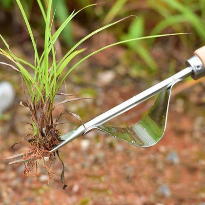 Obrazek z Wyrywacz chwastów z kołyską i drewnianą rączką